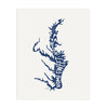 Chesapeake Home Print