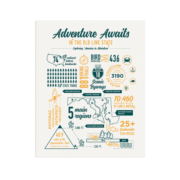 Adventure Awaits - Infographic